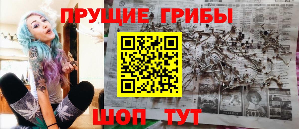 Псилоцибиновые грибы MAGIC MUSHROOMS Котельники